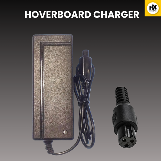 Hoverboard & Segway Charger