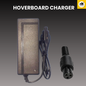 Hoverboard & Segway Charger